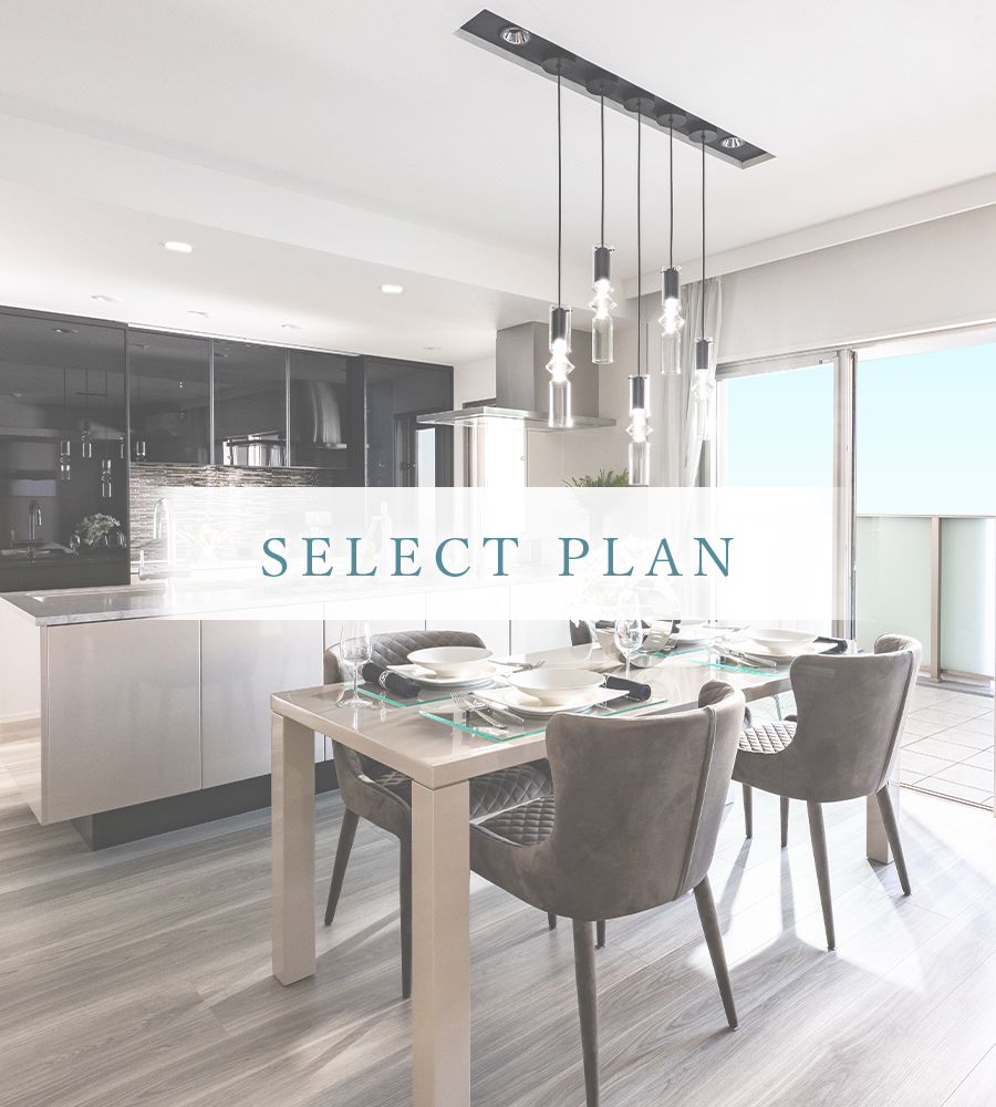 SELECT PLAN